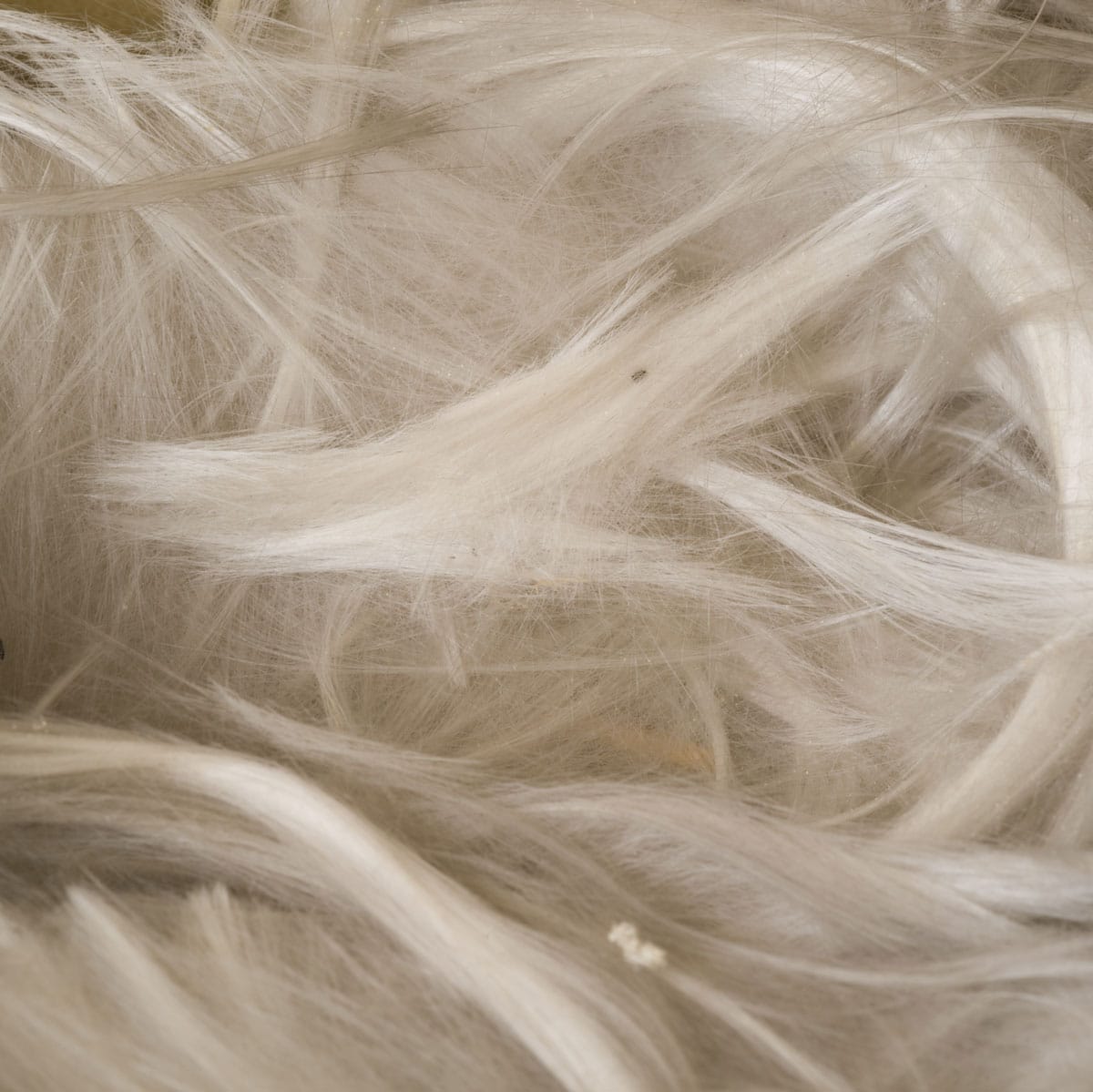 Asbestos removal Ottawa | CiEX