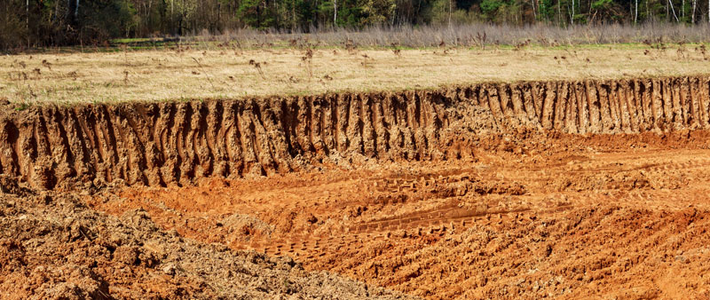 Excavation contractors at work | CiEX