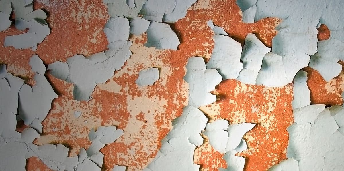 Lead paint, mould and asbestos removal Ottawa | CiEX